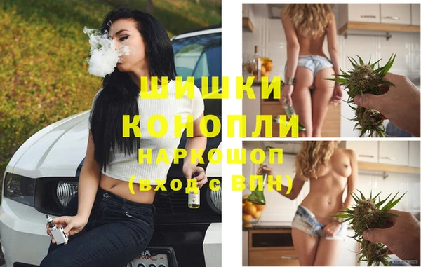 PSILOCYBIN Алексин