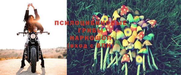 mdpv Алзамай