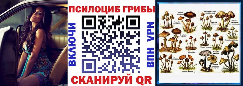 Галлюциногенные грибы GOLDEN TEACHER  Гаджиево 